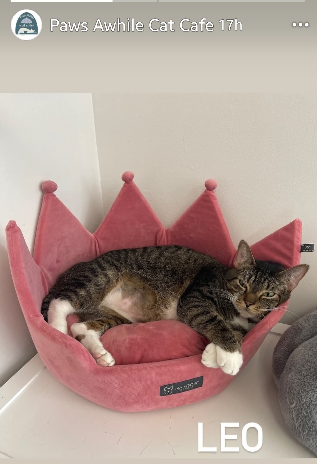 Leo